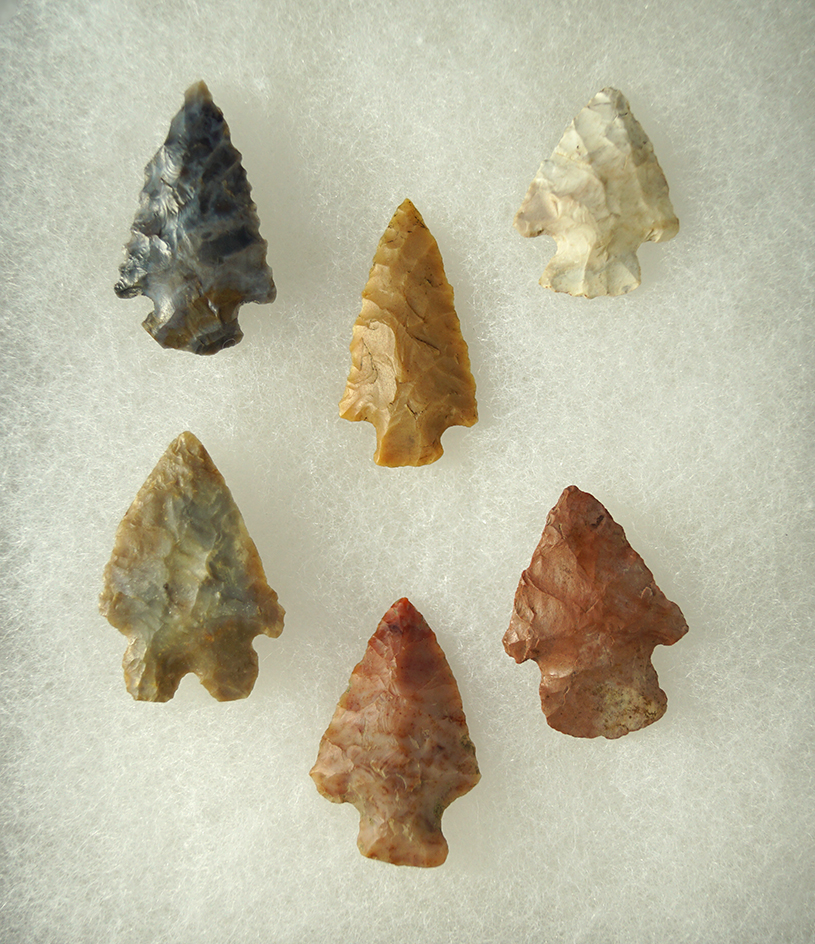 6 Bird Points found in Huron Co., Ohio.  Largest is 1 1/2".  Ex. Sauer.