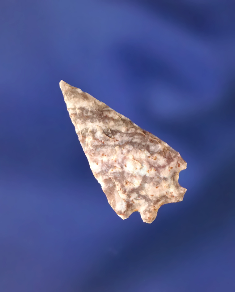 15/16" Alibates Flint Bird Point in nice condition.