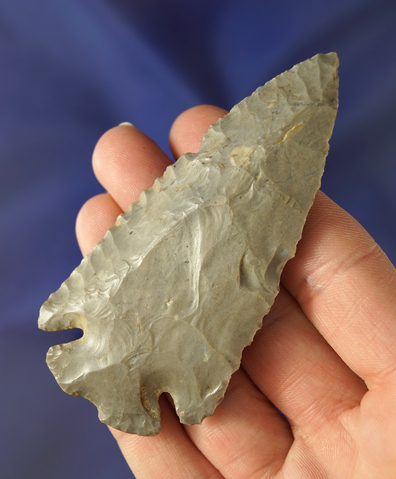 3 5/16" Dovetail made from nicely patinated Hornstone found in Scott Co.,  Kentucky. Davis COA.