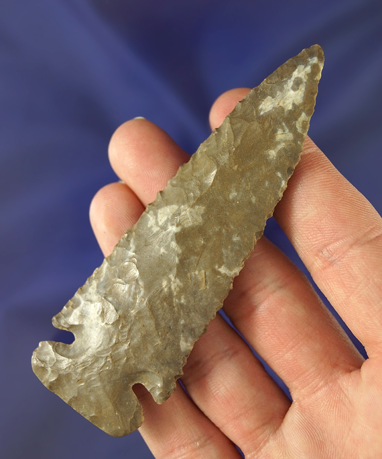 3 15/16" Archaic Thebes Bevel found in Cumberland Co.,  Kentucky  Jerry Dickey COA.