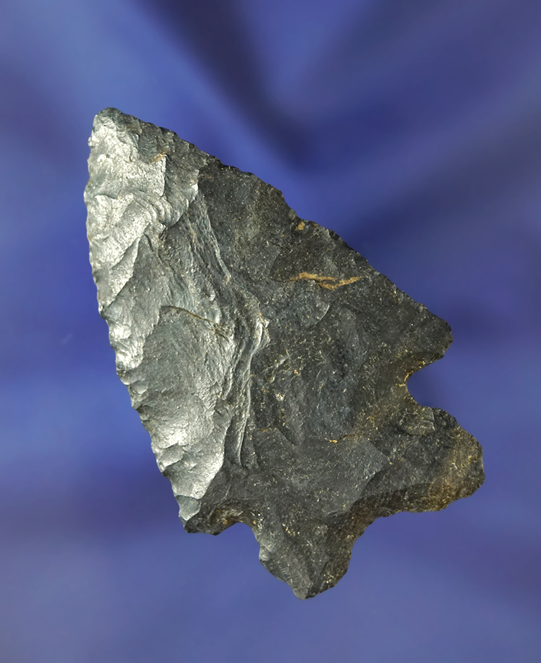 2 3/8" Bifurcate- Upper Mercer Flint and found in Ashland Co., Ohio.  Ex. Jack Hooks.