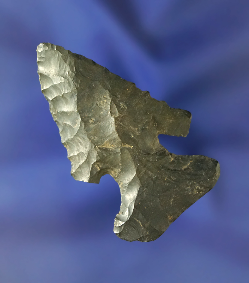 2 1/8" Archaic Bevel found in Ashland Co., Ohio.  Ex. Hooks.