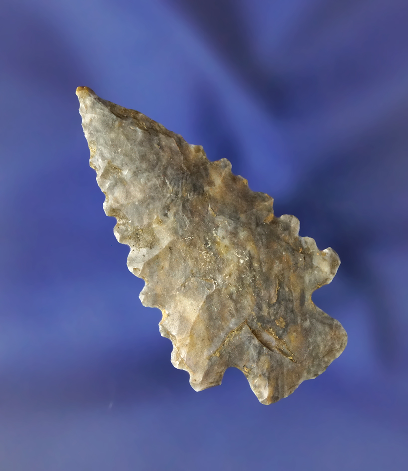 Excellent serrations on this 2" long Dart Point found in Crawford Co.,  Ohio. Pictured.