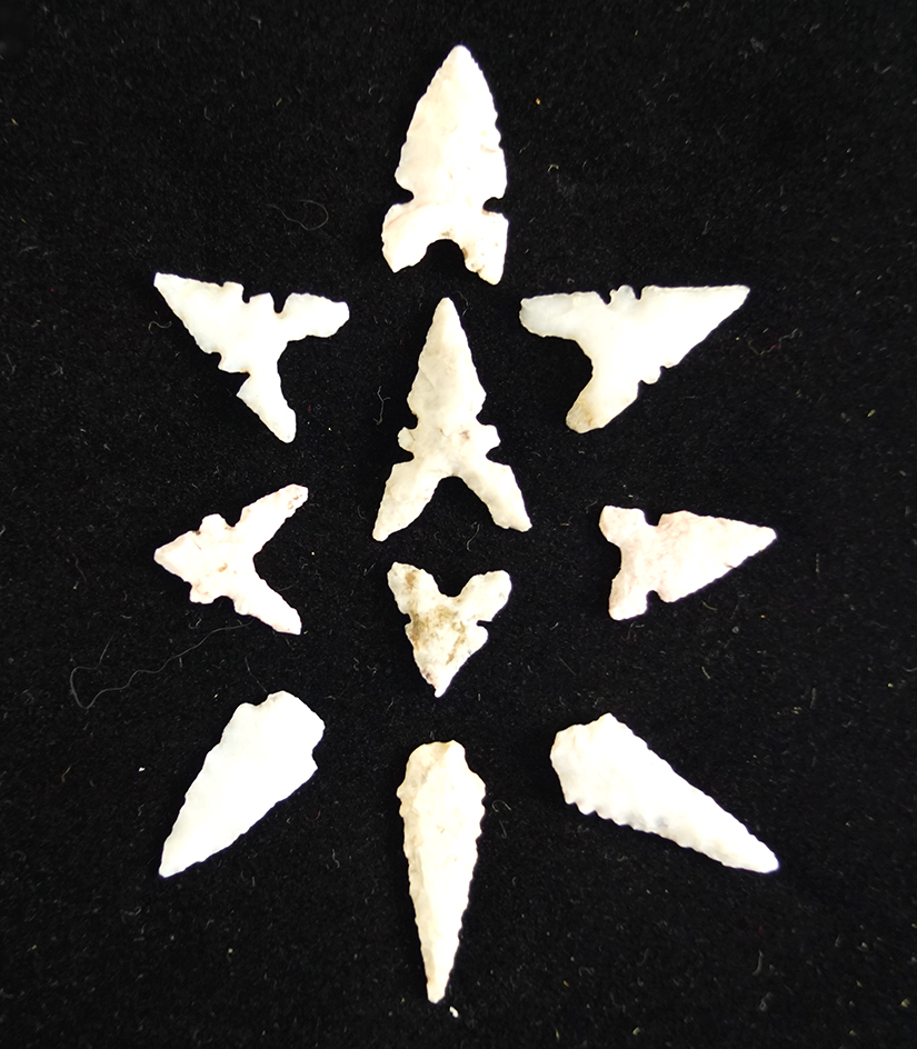 Nice set of 10 assorted southwestern U. S. Bird points, largest is 1 1/8".