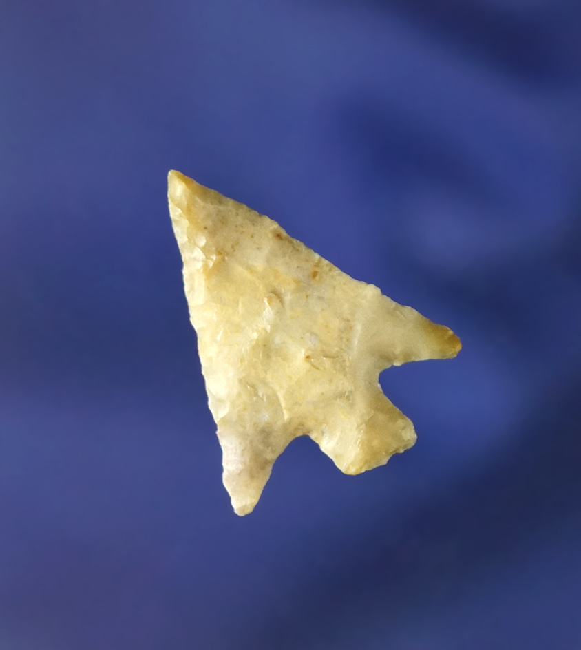 15/16" Cornernotch bird point found in the western U.S.