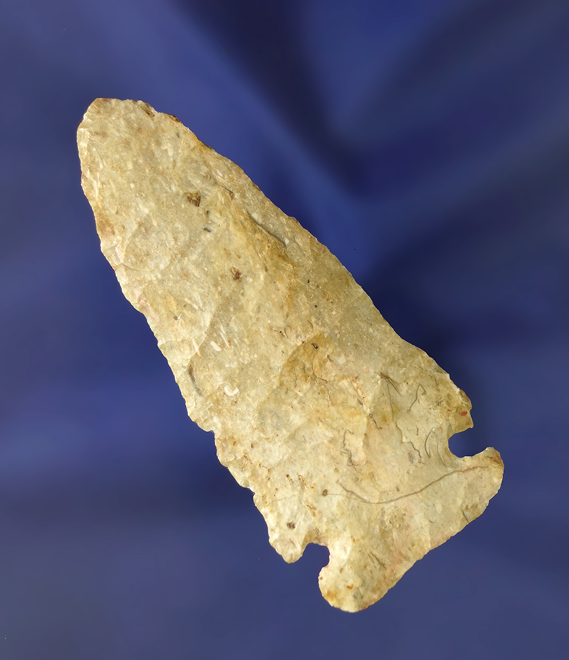 2 7/8" Large Base Dovetail found in Scioto Co., Ohio.  Ex. Prof. Honeywell.