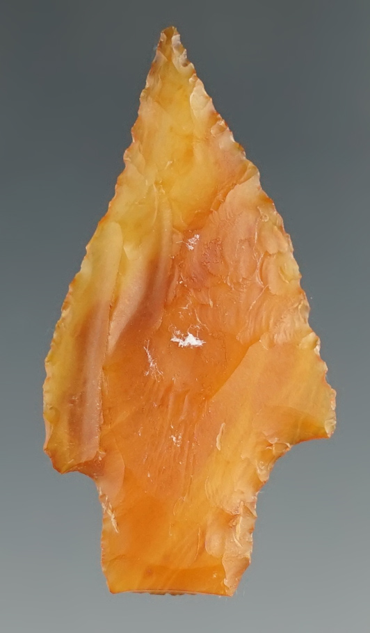 1 5/8" Gatecliff Knife made from translucent Petrified Wood. Found near the Columbia River