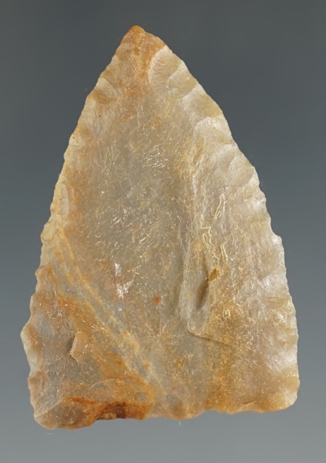 1 1/2" Paint Rock Valley found in Benton Co., Tennessee. Comes with a Rogers COA.