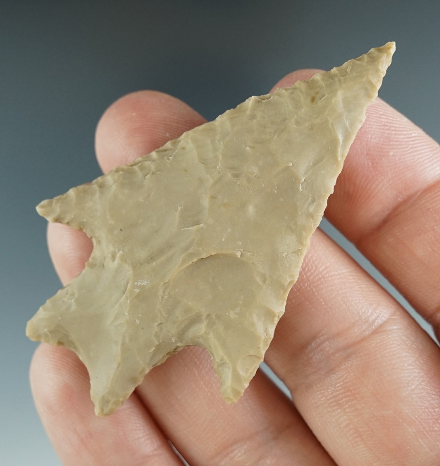 2 7/16" Pedernales made from tan chert, found in Coryell Co., Texas. Comes with a Rogers COA.