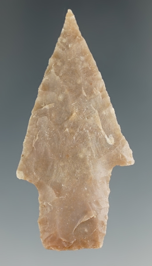 2 5/16" Bulverde found in Texas.