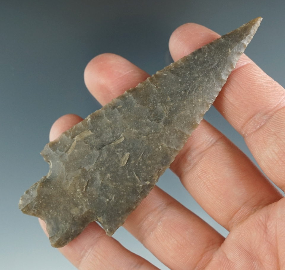 3 11/16" Pedernales made from dark brown chert, found in Central Texas. Partain and Rogers COA's.