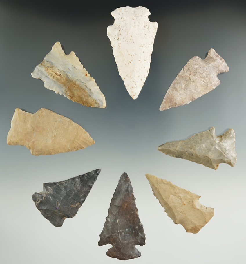 Group of 8 assorted Kentucky points in nice condition, largest is 2 7/16".
