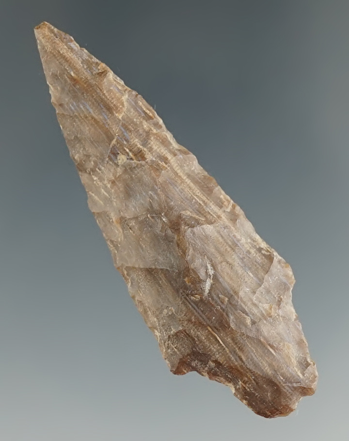 2 3/8" Shaniko Stemmed made from Petrified Wood. Columbia River, Washington.  Bennett COA