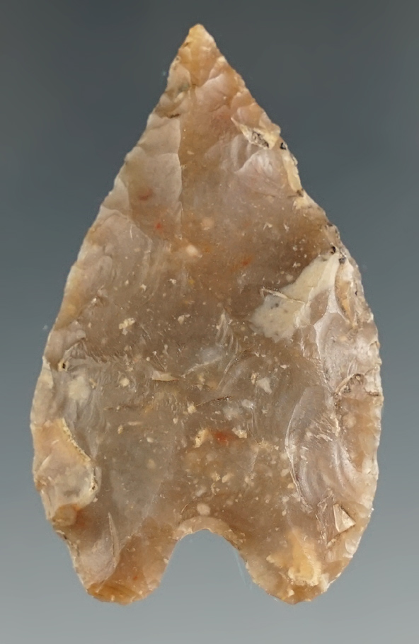 1 3/4" Carrizo found in Uvalde Co., Texas. Ex. Ike Postell Collection. Comes with a Rogers COA.