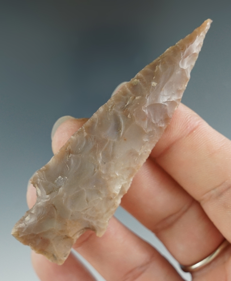 3 1/8" Darl point found in Mt. Pleasant, Texas. Comes with a Rogers COA.