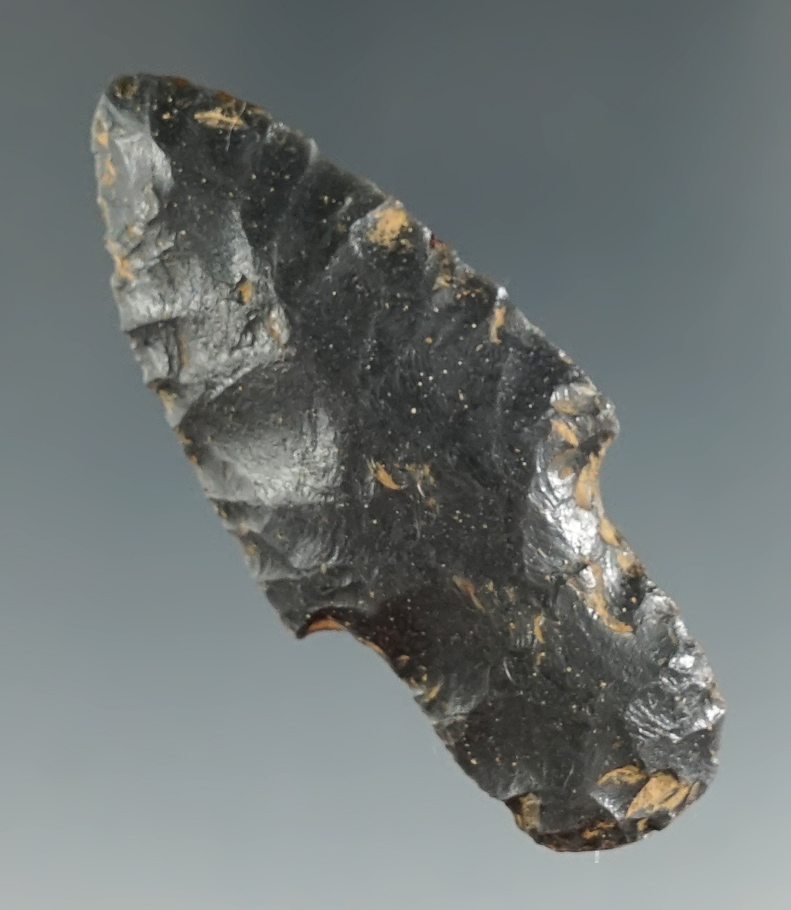 2 1/16" Parman Type I made from Obsidian.by Daryl Baker near Fort Rock in Lake Co., Oregon. COA.