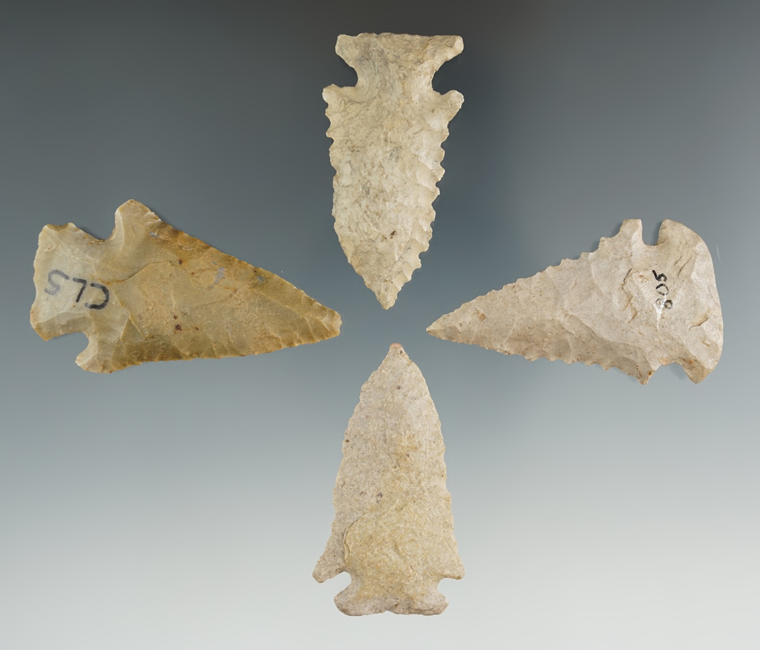 Four Kentucky points in very nice condition, largest is 2 1/4".