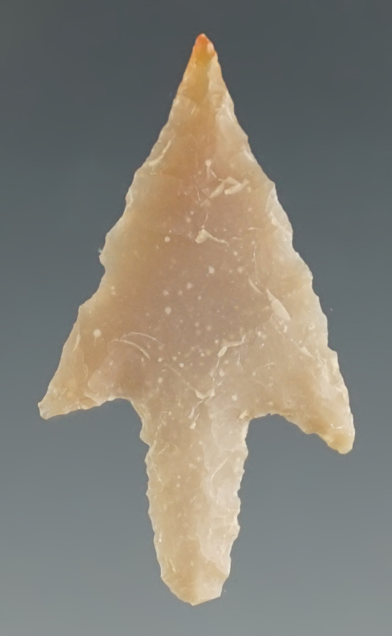 1 5/16" Perdiz point that is very well made found in Texas.