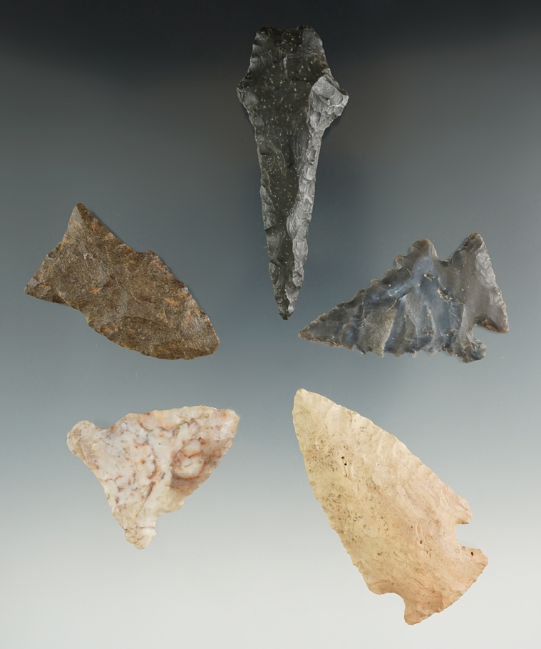 Set of five points found in Kentucky and Tennessee in very good condition, largest is 2 1/2".