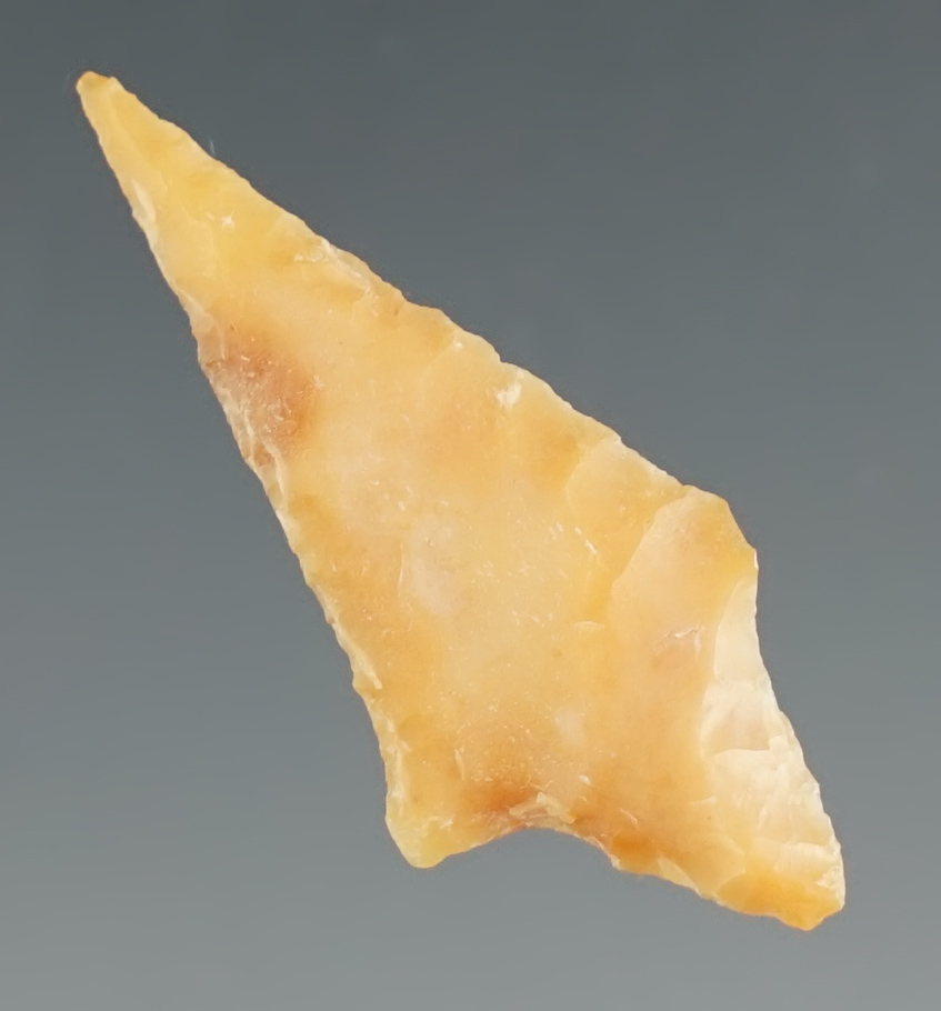 1 5/16" Rabbit Island found in the 1950's by Norma Berg - Columbia River, WA. Bennett COA