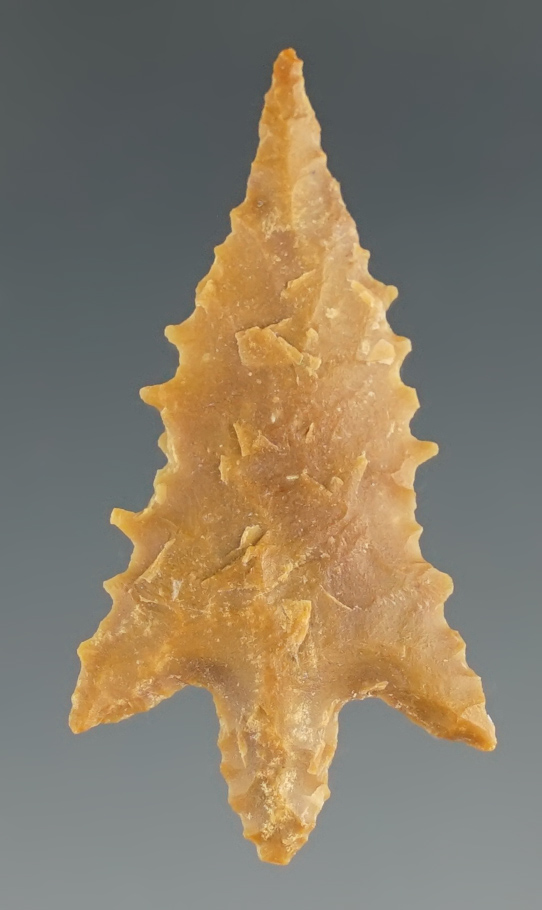 Excellent serrations - 1 7/16" Perdiz made from chert, found in Navarro Co., Texas. Rogers COA.