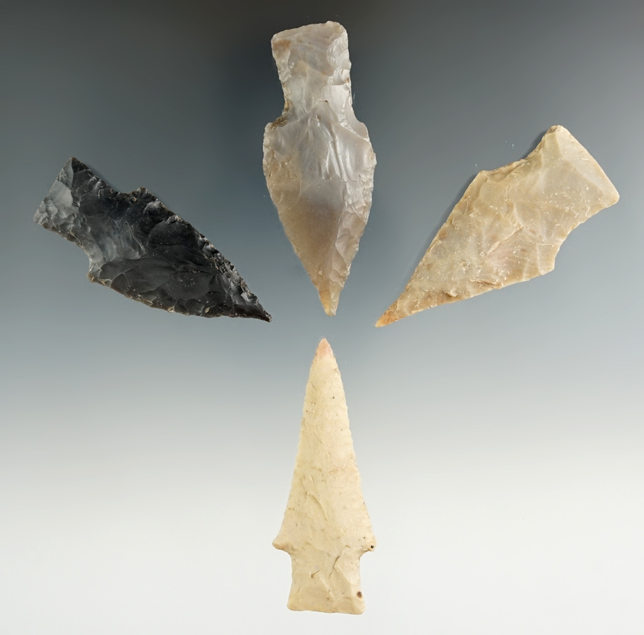 Set of four Texas stemmed points in very good condition, largest is 2 3/8".