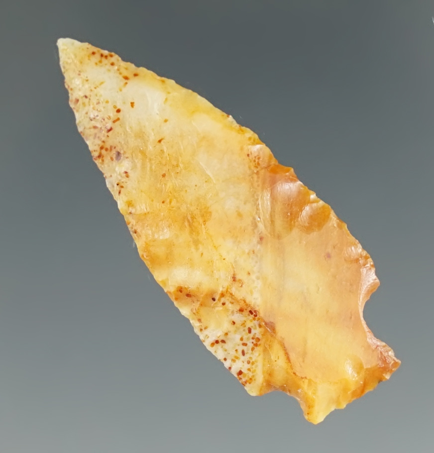 1 5/8" Merrybell found near the Columbia River by Norma Berg in the 1950's in WA. Bennett COA