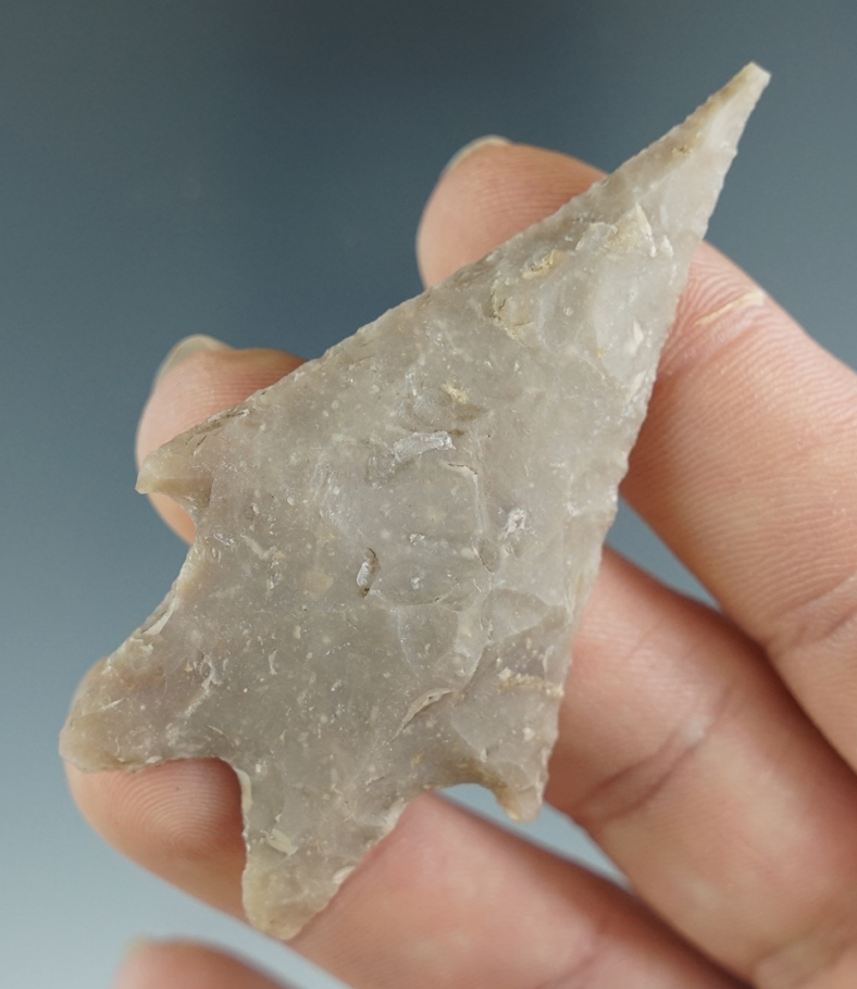 2 5/8" Pedernales made from Edwards Plateau Chert, found in Texas. Comes with a Bennett COA.