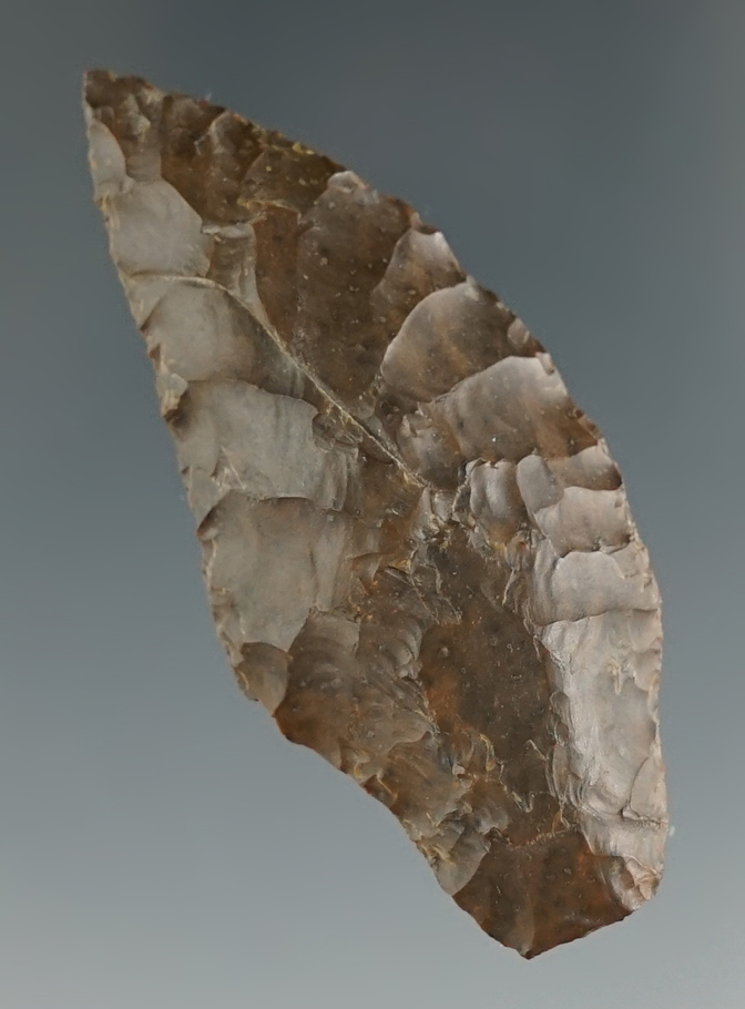 2 1/8" Gatecliff found near the Columbia River by Norma Berg in the 1950's in Washington. COA