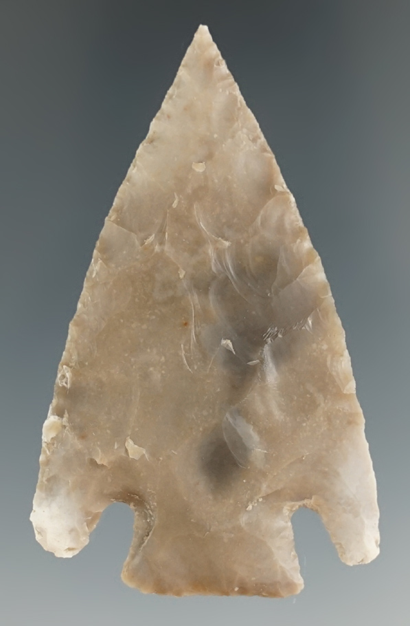 2 7/16" Marshall made from gray and tan chert, found in Bandera Co., Texas. Rogers COA.