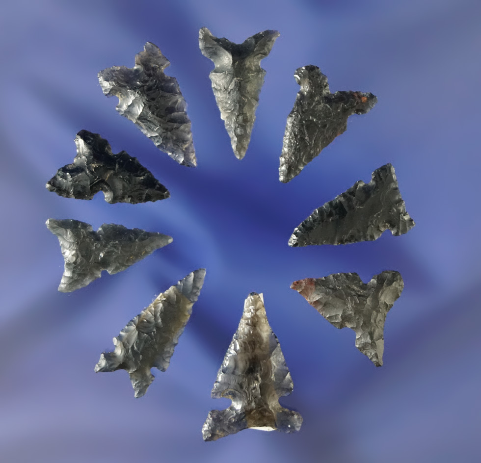 Nice set of eight assorted Obsidian sidenotch arrowheads found in Oregon, largest is 15/16".