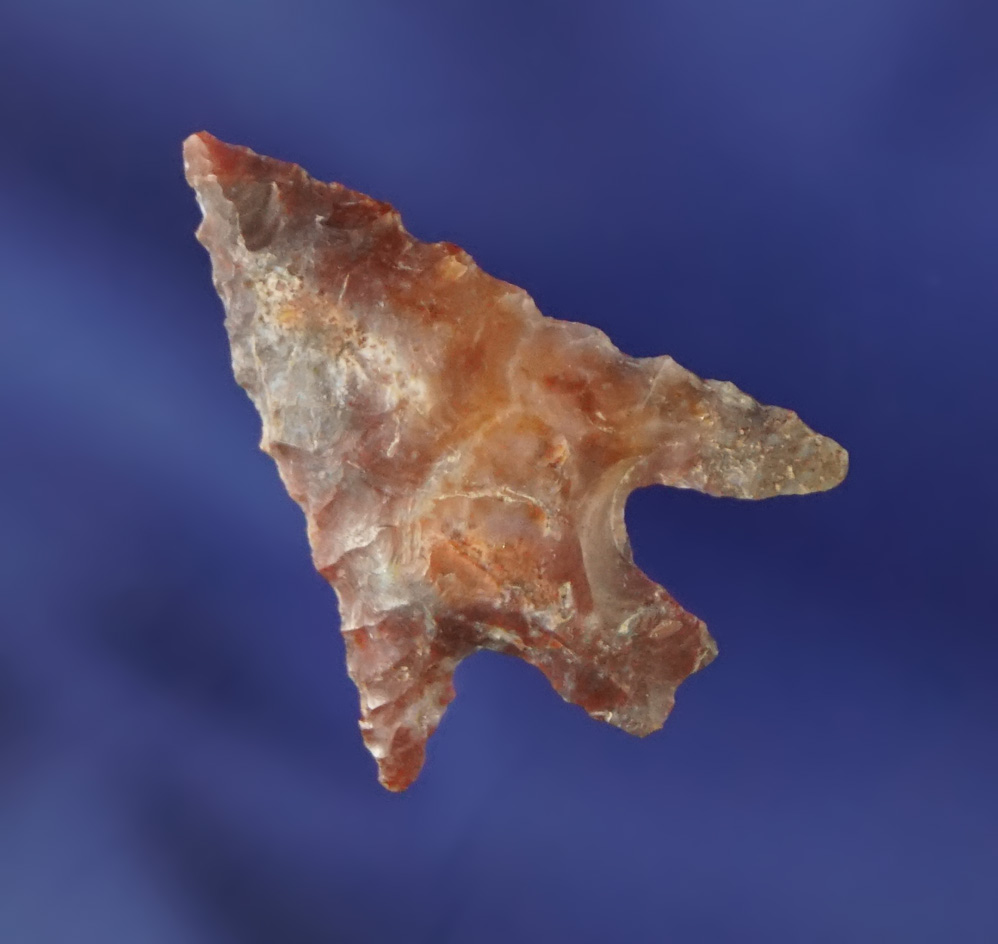 15/16" multicolored red and gray Columbia Plateau Split Stem found near the Columbia River.