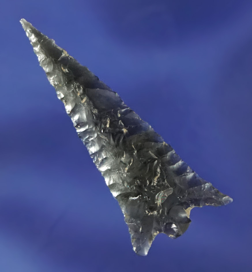 Thin with exquisite flaking! 1 5/8" Columbia Plateau found in Harney Co., Oregon