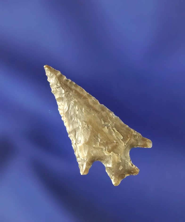 1 1/8" Columbia Plateau that is very nicely flaked found near the Columbia River.