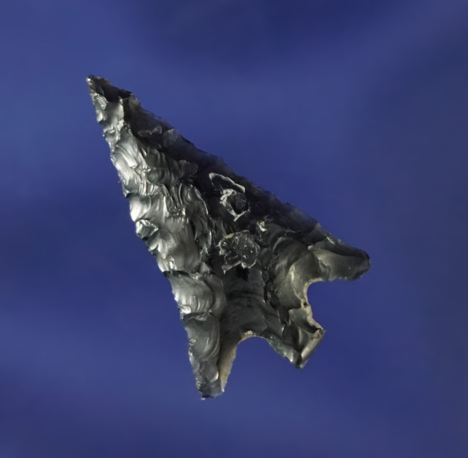 Columbia Plateau found in Harney Co., Oregon made from Obsidian.