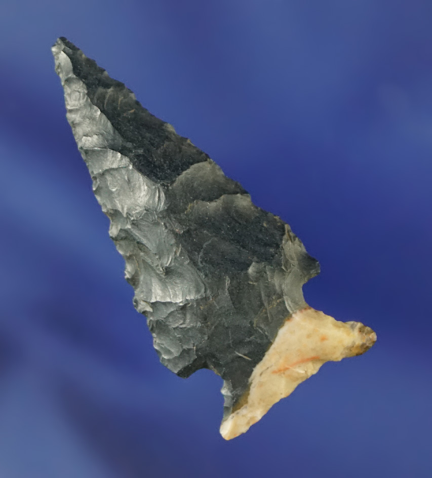 1 7/16" bi-colored Flint Cornernotch found in Oregon.