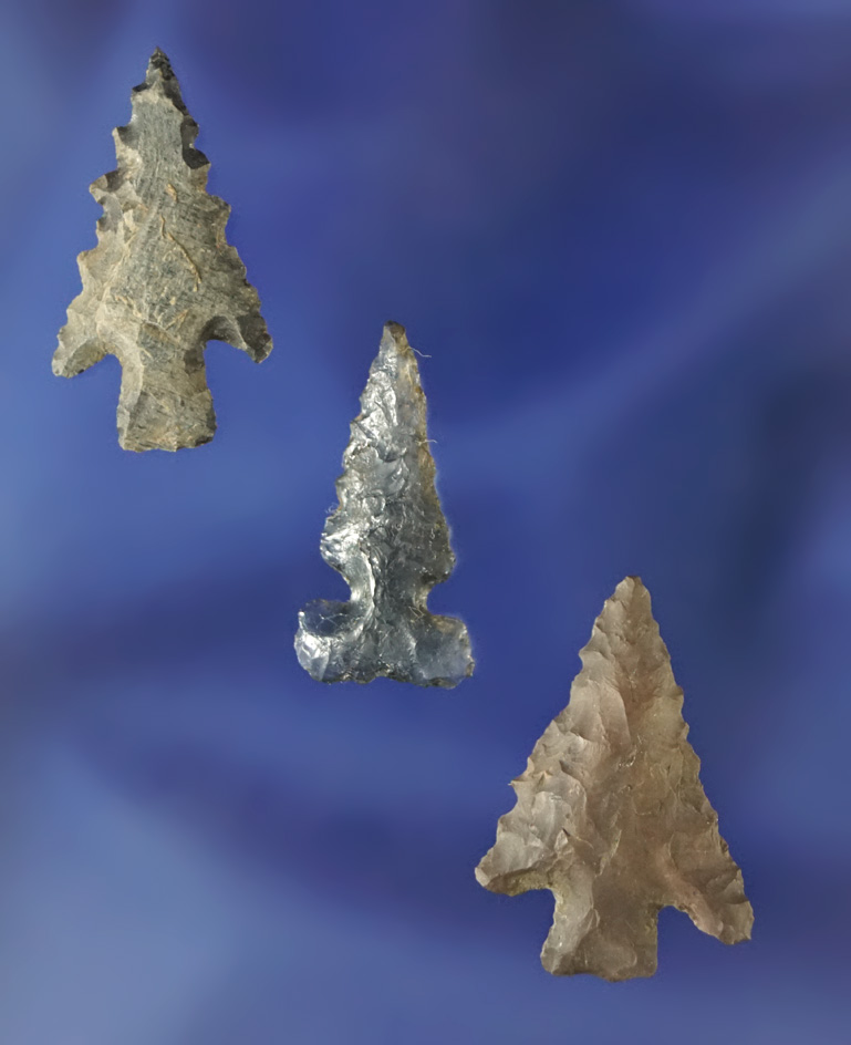 Set of three nice arrowheads found near the Columbia River, largest is 1".