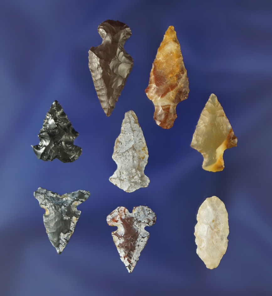 Set of eight assorted Western Bird Points in Gempoints, largest is 1".