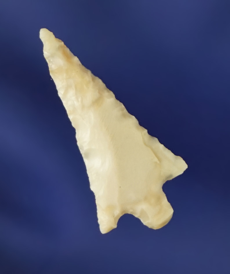 15/16" Wallula. Found near the Columbia River. Ex. Fred Heimbigner collection.