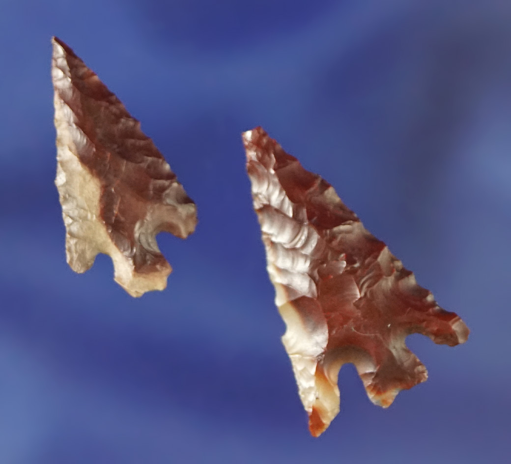 Pair of Columbia Plateau points found near the Columbia River made from multicolored Jasper.