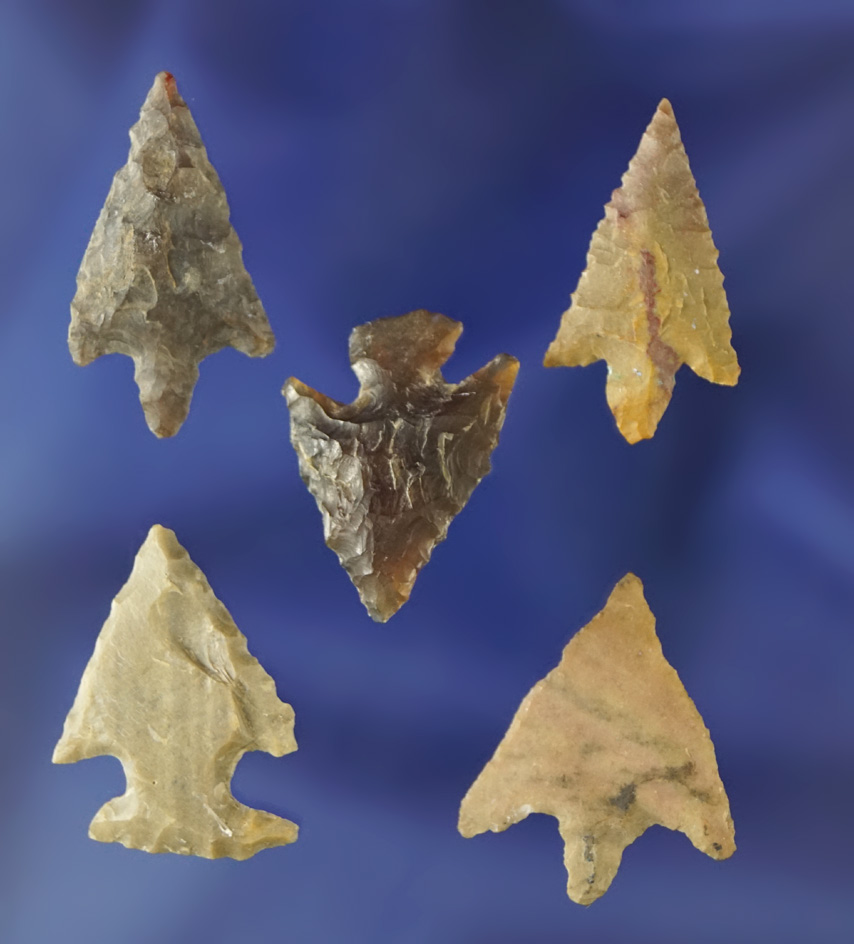Set of five assorted arrowheads found near the Columbia River, largest is 1".