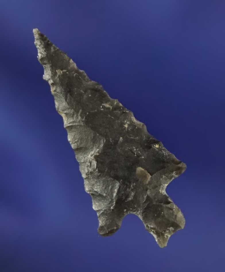 1" split Stem that is very thin. Found near the Columbia River. Ex. Fred Heimbigner collection.