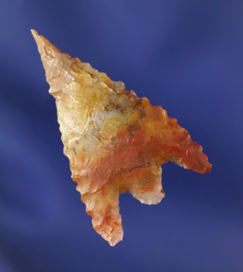 incredible material color! 1 3/16" Gunther with a needle tip -multicolored Agate.  Oregon.