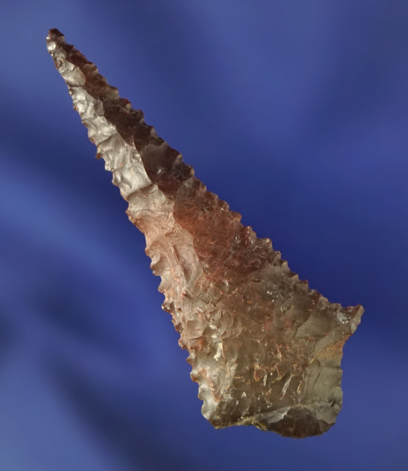 Nice! 1 3/4" classic style Rabbit Island Dart Point with wicked serrations along the blade edges