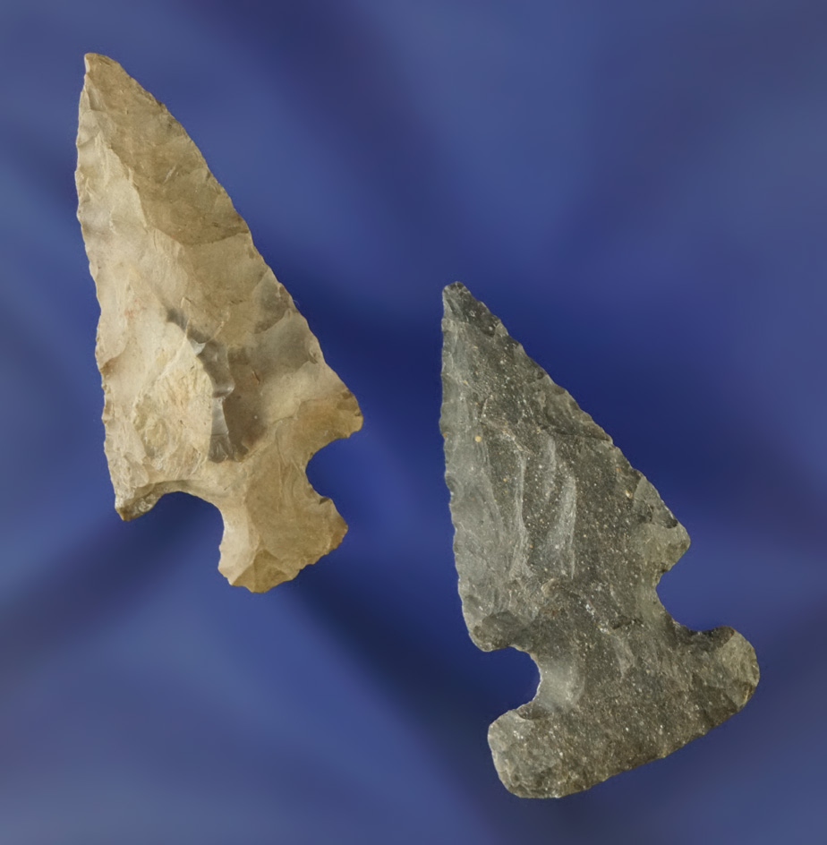 Pair of arrowheads found in Oregon in nice condition, largest is 1 5/8".