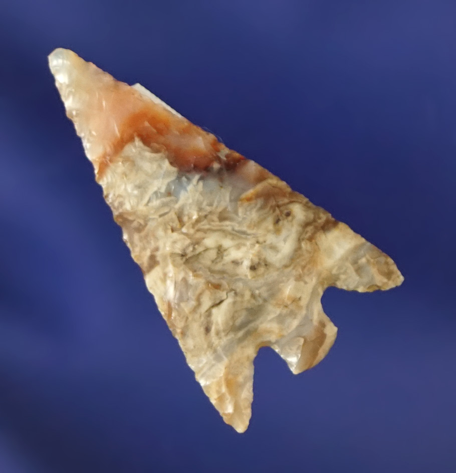 Nice! Well styled 1 1/16" Columbia Plateau - beautifully colored semi translucent Agate