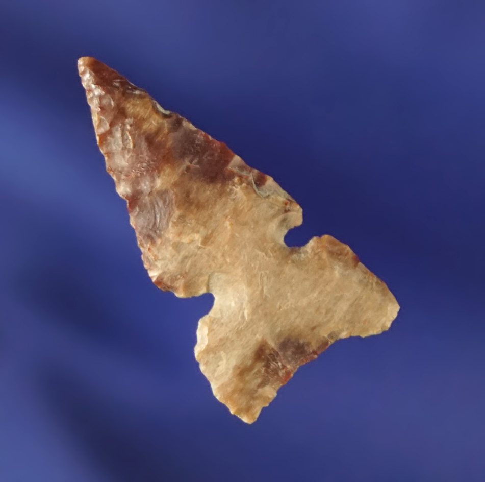 15/16" Sidenotch made from multicolored Flint found near the Columbia River.