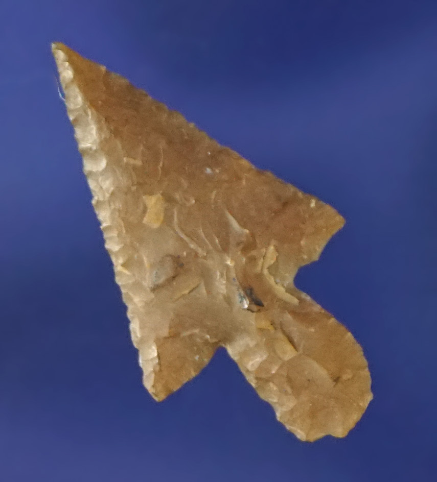 15/16" with a nice long stem that is well flaked from quality material.