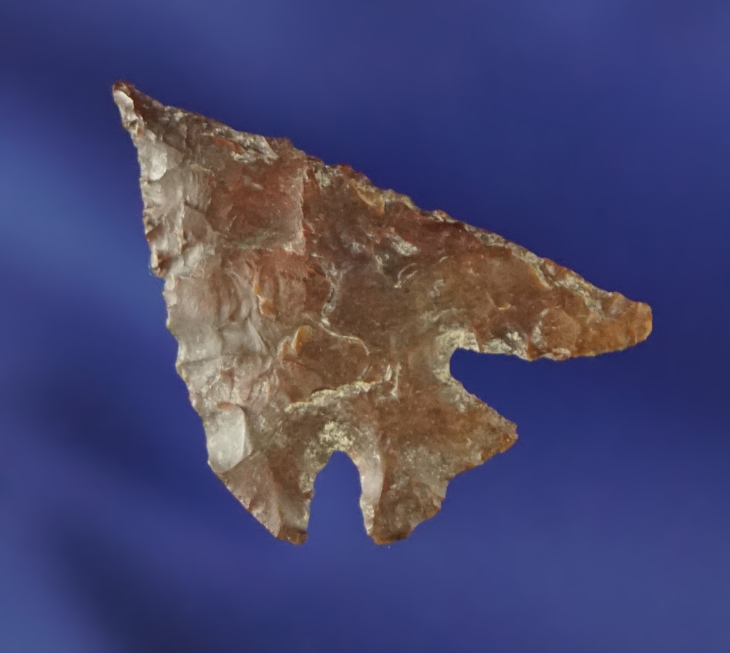 7/8" Columbia Plateau with a needle tip and long swept wings found near the Columbia River.