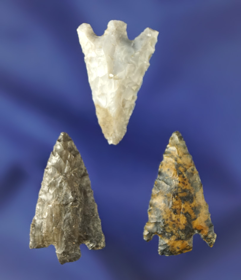 Set of three nice Columbia Plateau points found near the Columbia River, largest is 1 3/16".